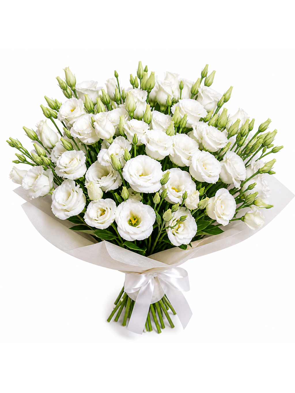 Eustoma mix barev
